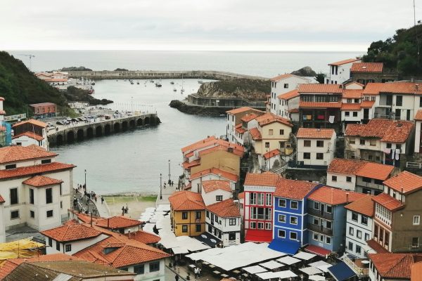 aerial view of houses near body of water during daytime