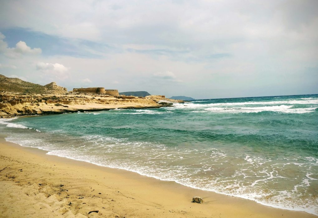 seashore under clouded sky