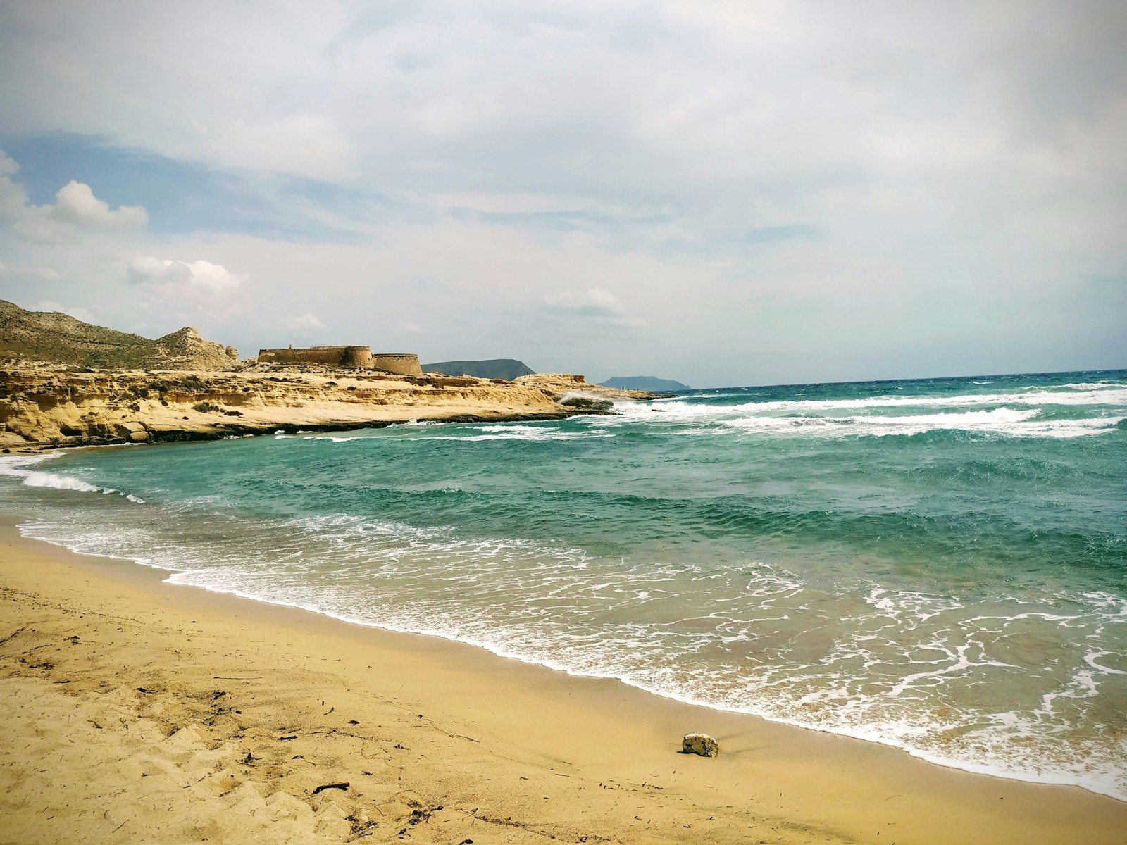 seashore under clouded sky