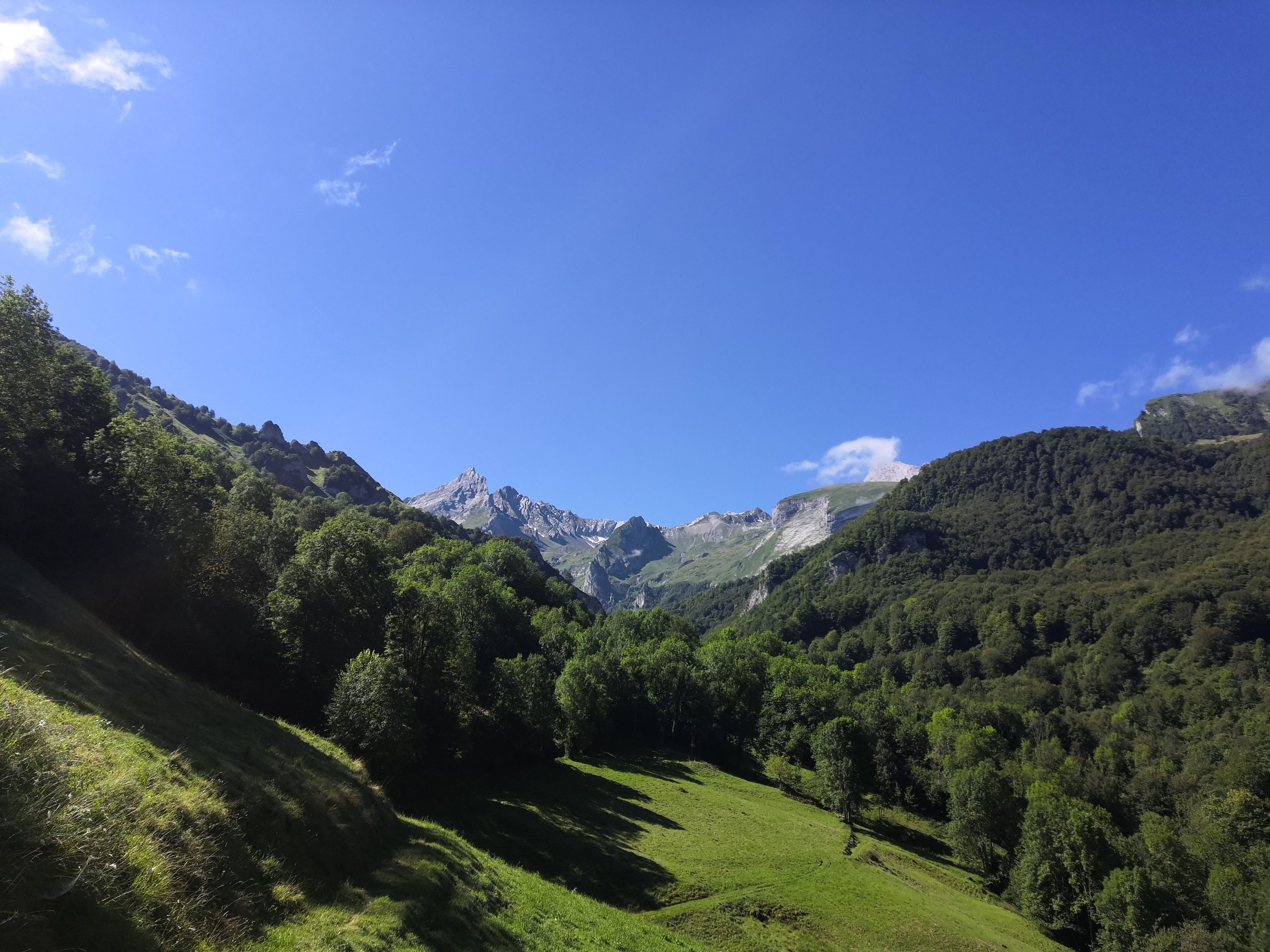 Bosque verde y valle de montaña en la Sierra de Gredos