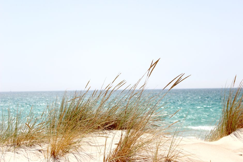 Playa de Tarifa en Cádiz, donde el viento de levante mantiene el agua más fría de lo esperado