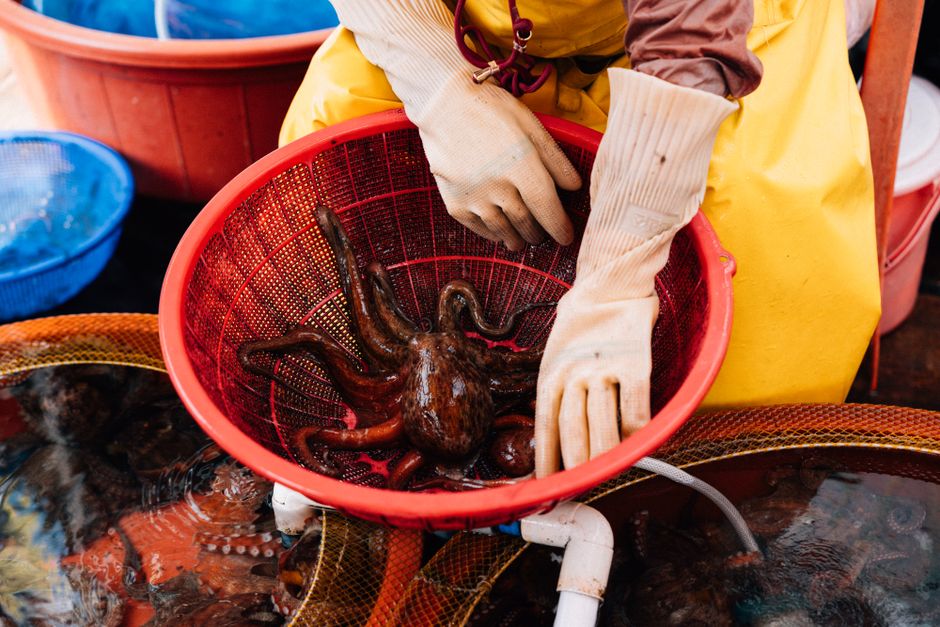 Pulpo fresco en un puesto de mercado de pescado